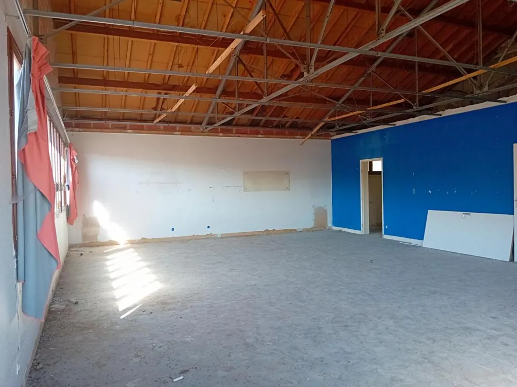 Toad - Renovation Project Apartment in Verzy