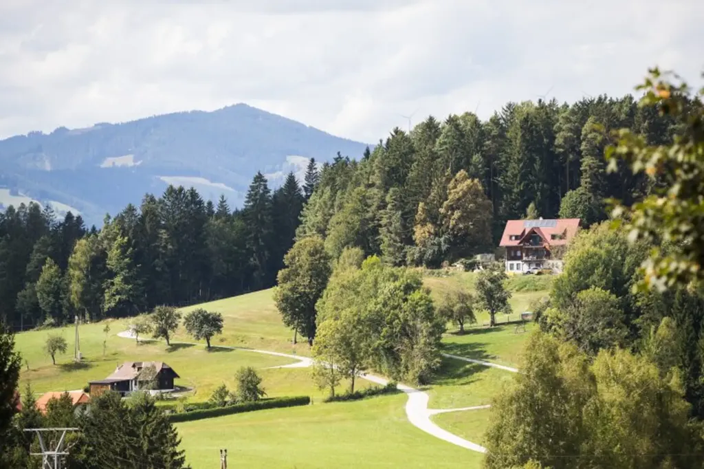 Ground Floor Apartment with West View in Miesenbach