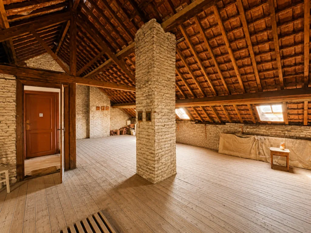 Toad - Rental House with Terraces in Anderlecht