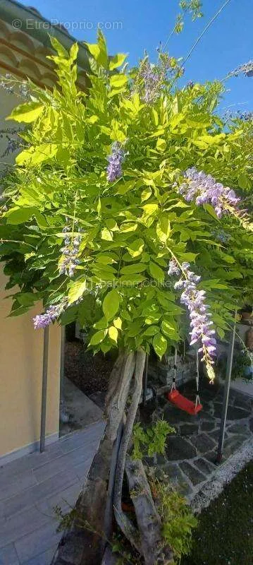 Jardin - Villa Traditionnelle avec Studio et Piscine à Vendre