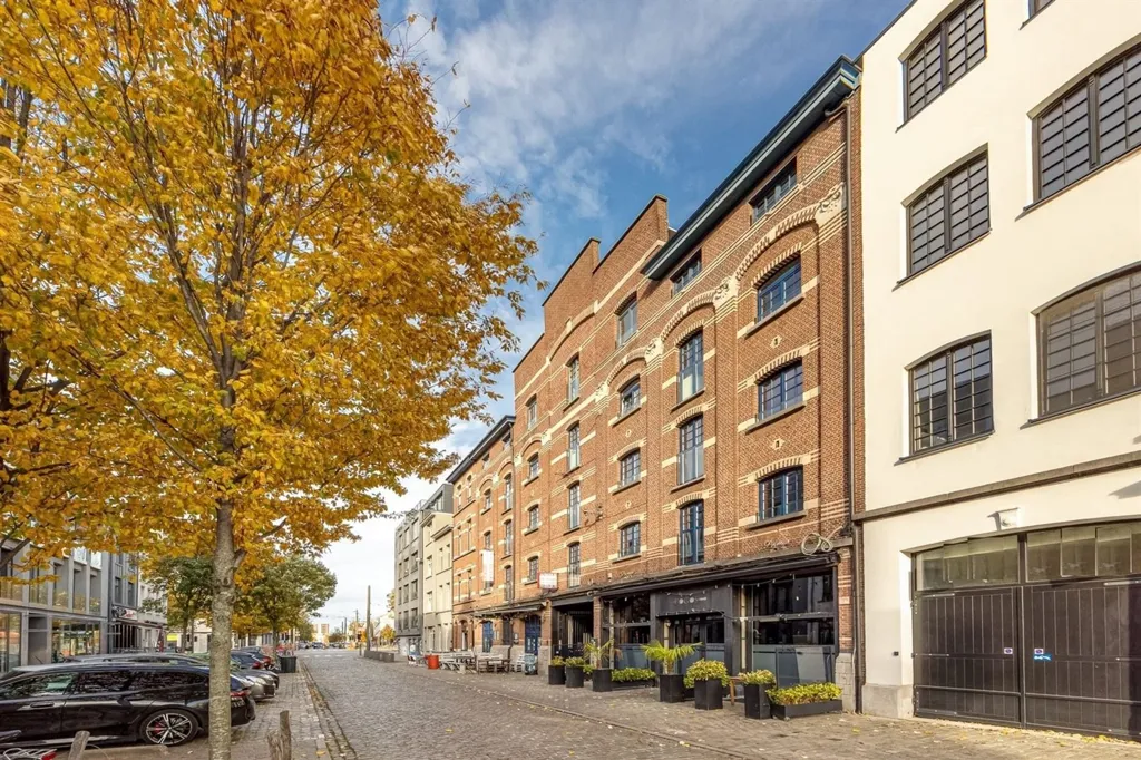 Välivaade - Industrial Loft with Terrace on Eilandje