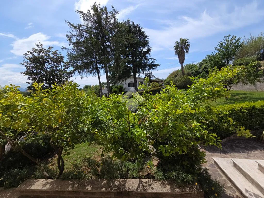 Jardin - Villa with Panoramic Balcony in Velletri