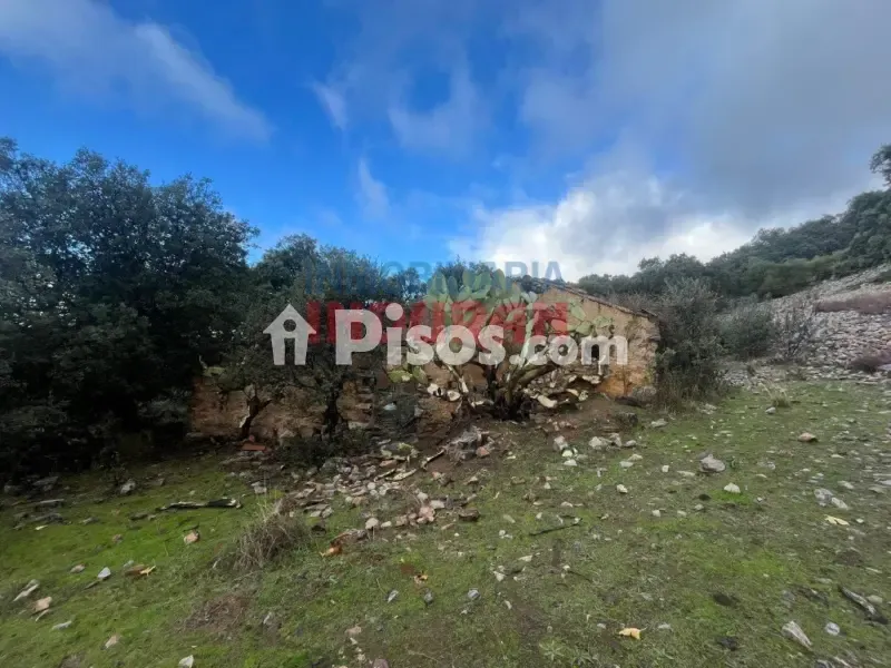 Jardin - Rustic Finca with Water Source in Castañar de Ibor