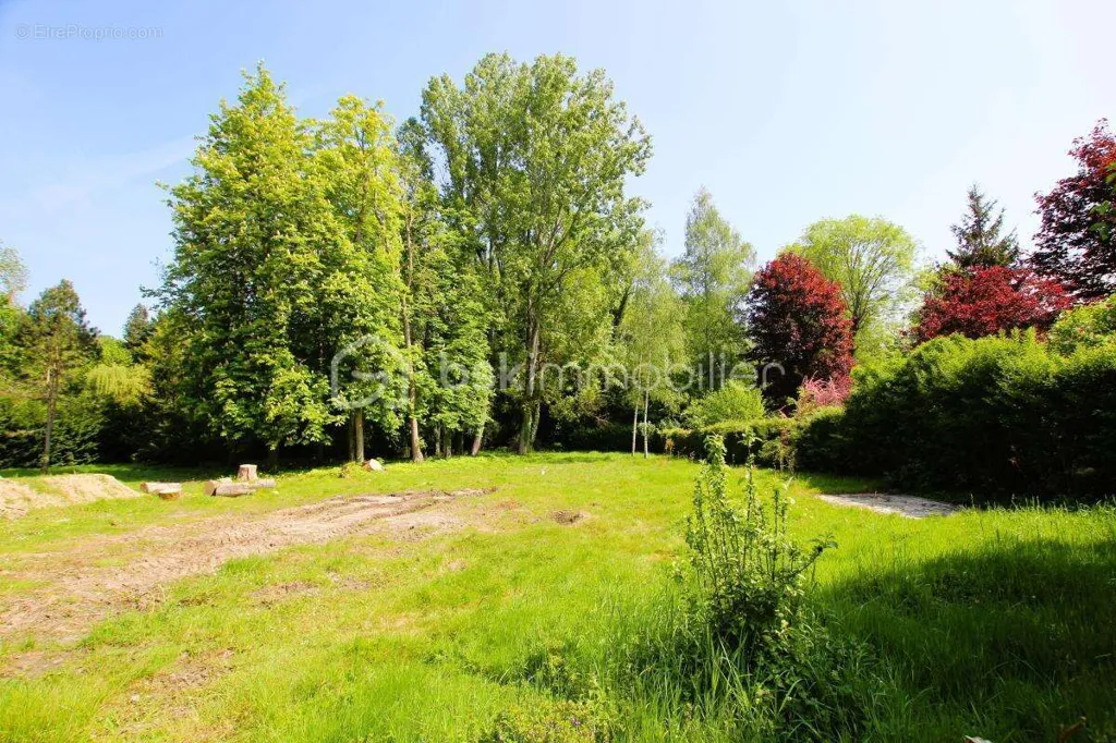 Aed - Constructible Plot with Forest View near Épernon