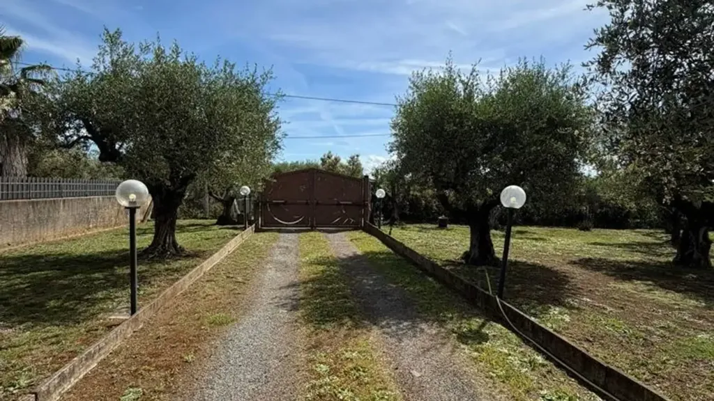 Esterno - Rustic Villa with Olive Grove in Lanuvio