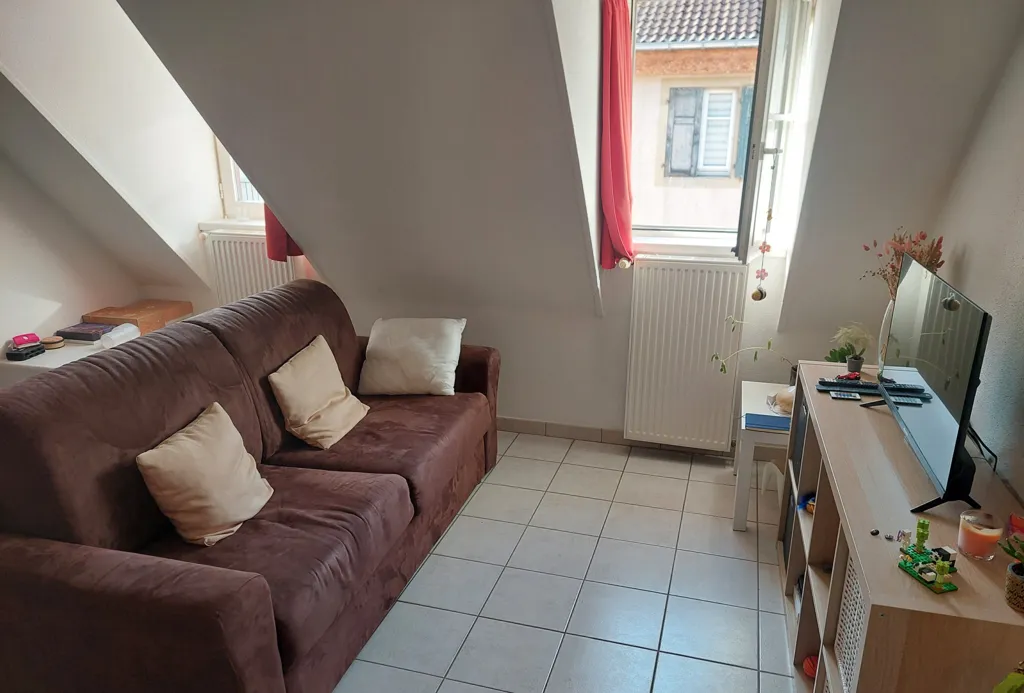Soggiorno - Duplex Flat with Tenant in Montbéliard Centre