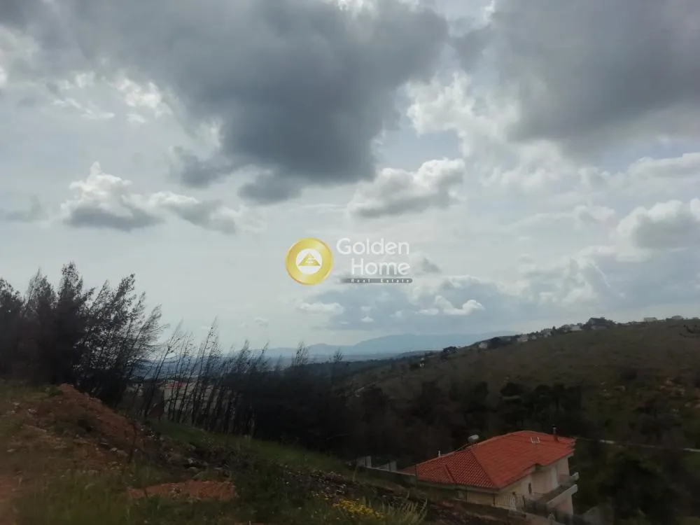 Jardin - House with Mountain View in Pikermi - Dionysos