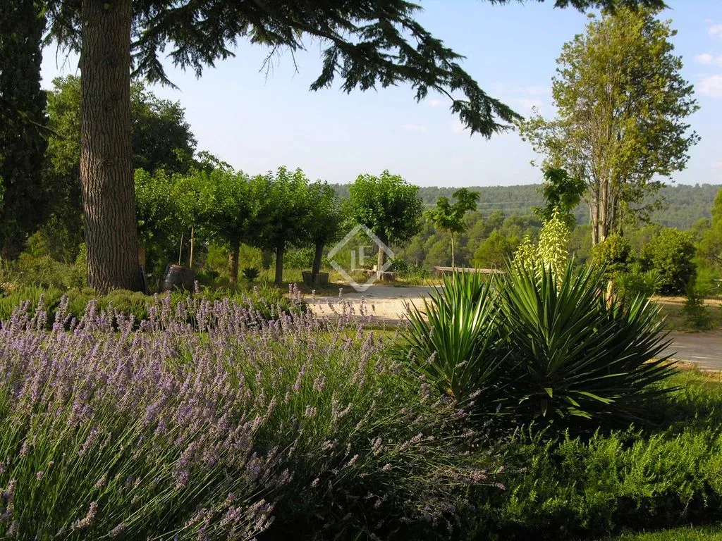Jardin - Boutique Holiday Resort in Carme, Spain