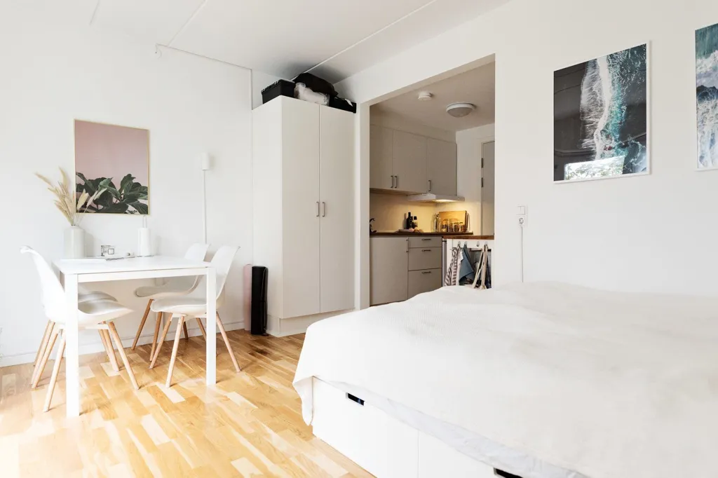 Magamistoad - Studio for Students with Rooftop Terrace in Provstehuset