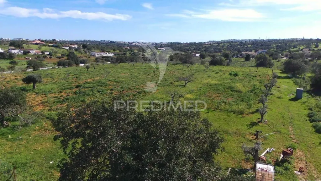 Jardin - Agricultural Land with Fruit Trees in Albufeira