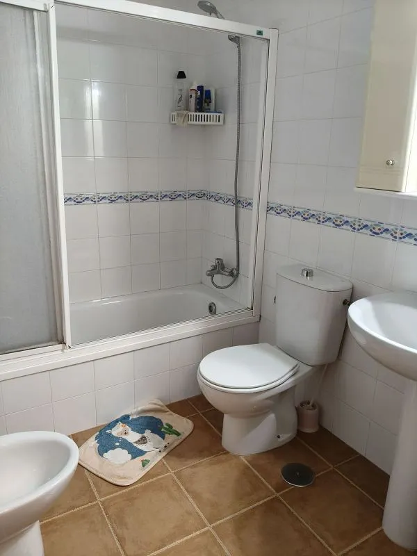 Salles de bain - Apartment with Pool and Terrace in La Laguna