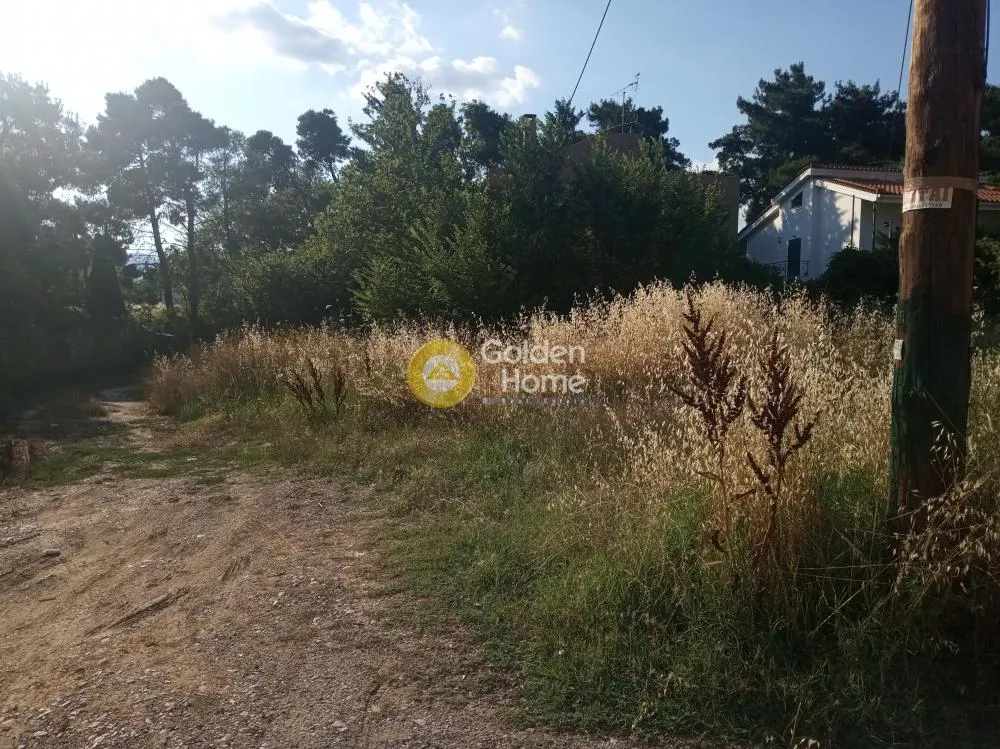 Giardino - Plot for Development with Unrestricted View in Anoixi Centre