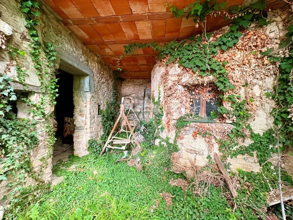 Jardin - Rustic Property with Vineyard View in Valdobbiadene