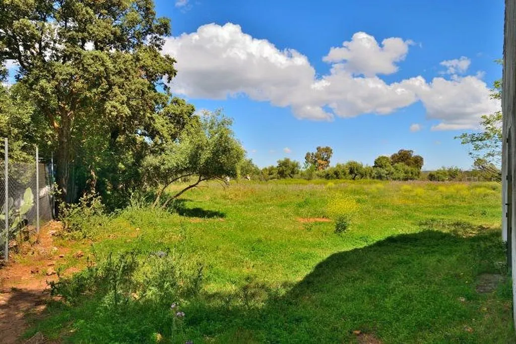 Garden - Rustic Finca with Garden near Ronda