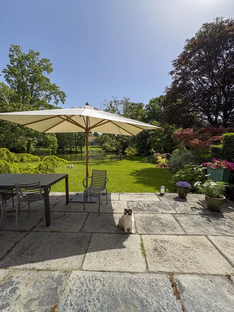 Terrasse - Maison détachée avec jardin et terrasse à Hem