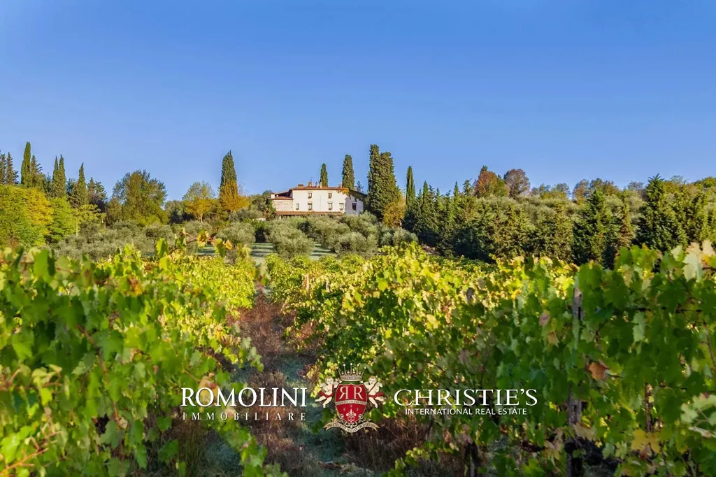 Garden - Villa with Vineyard and Pool near Florence