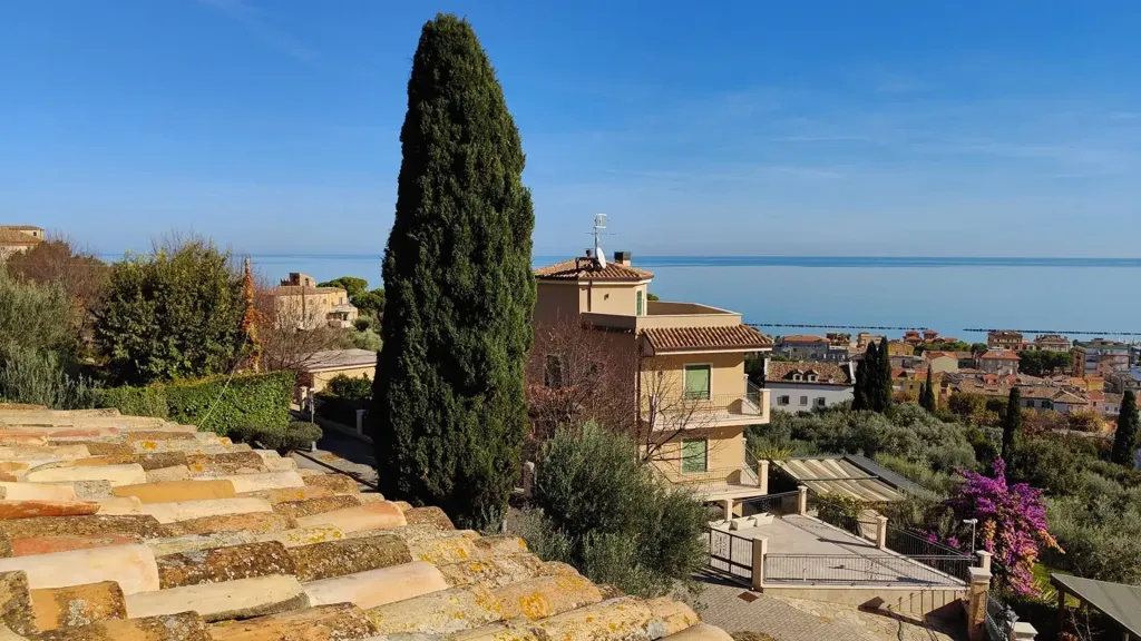 terrace_patio