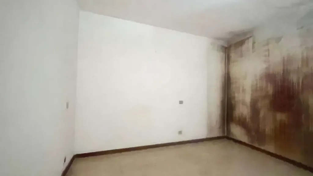 Toad - Semi-detached Villa to Renovate in Massa