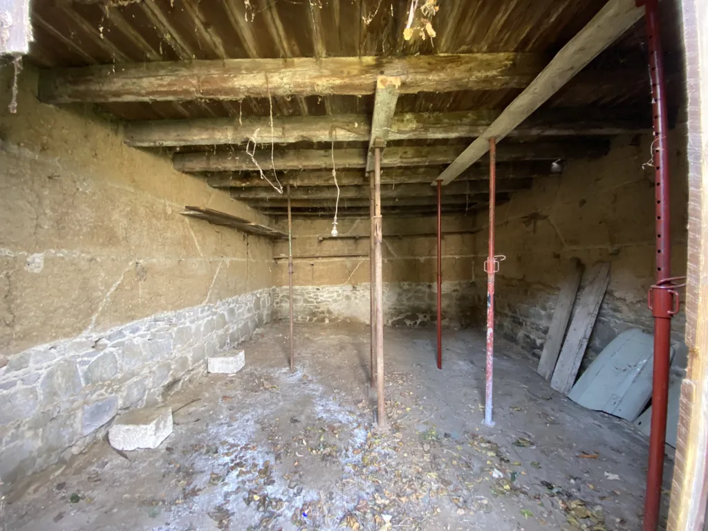 Toad - Old House with Potential Duplexes in Saint-Genis-Laval