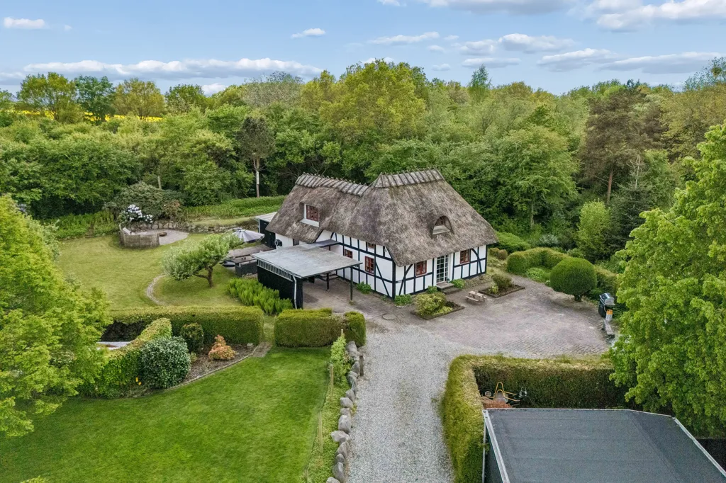 Õhuvaade - Straw-Thatched Cottage with Forest View in Odense