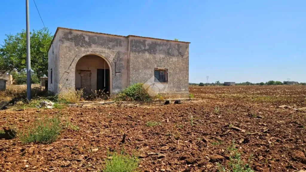 Extérieur - Rustic Property with Olive Trees in Nardò