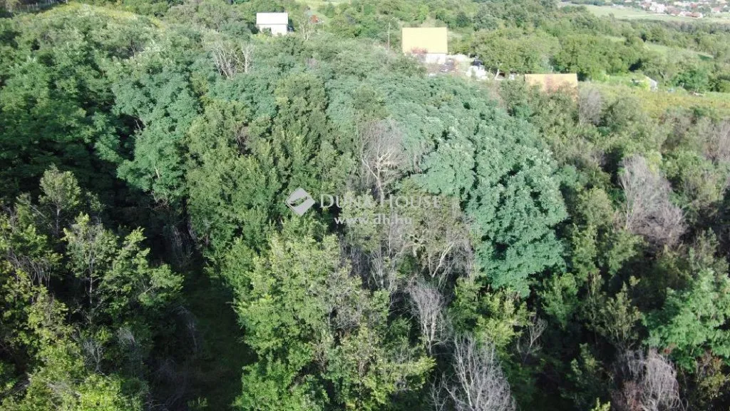 Vista aerea - Rural Plot with Panoramic View in Köveskál