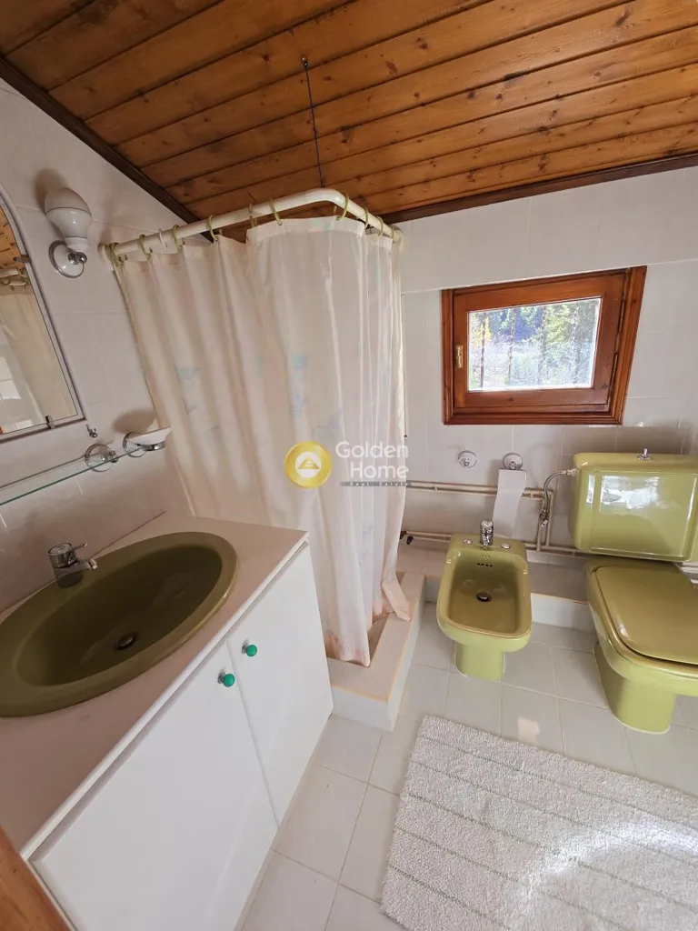 Vannitoad - Detached House with Garden in Arachova Meadow