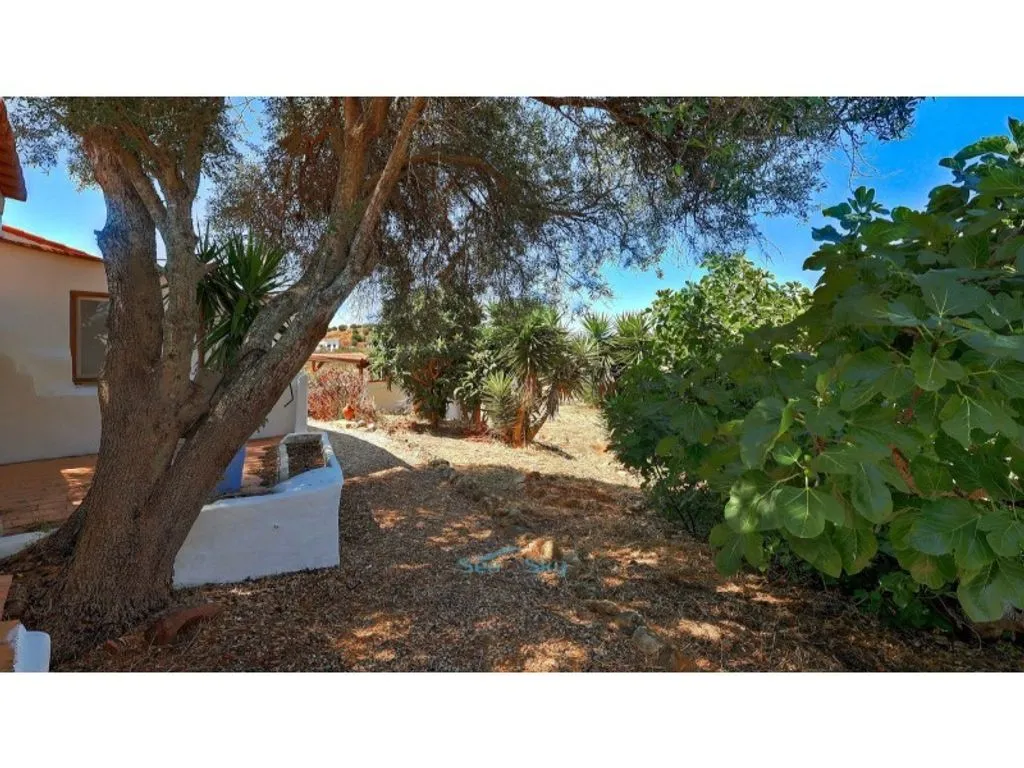 Jardin - Luxury Farmhouse with Multiple Units in Vila do Bispo