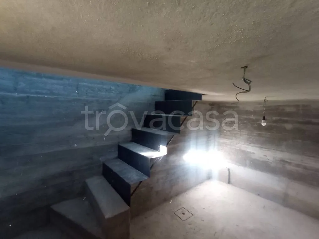Toad - New Construction House in Nole