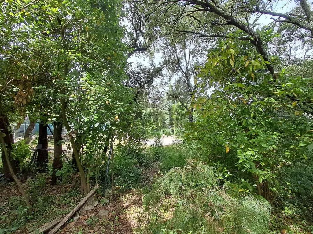 Jardin - Terrain Constructible avec Vue Sud-Ouest à Junas