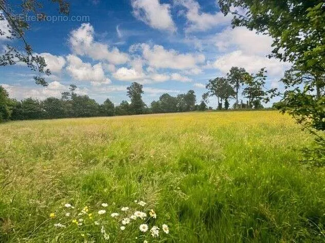 Jardin - Longère avec Piscine dans un Parc de 1,2 Hectare à Martigné-Ferchaud