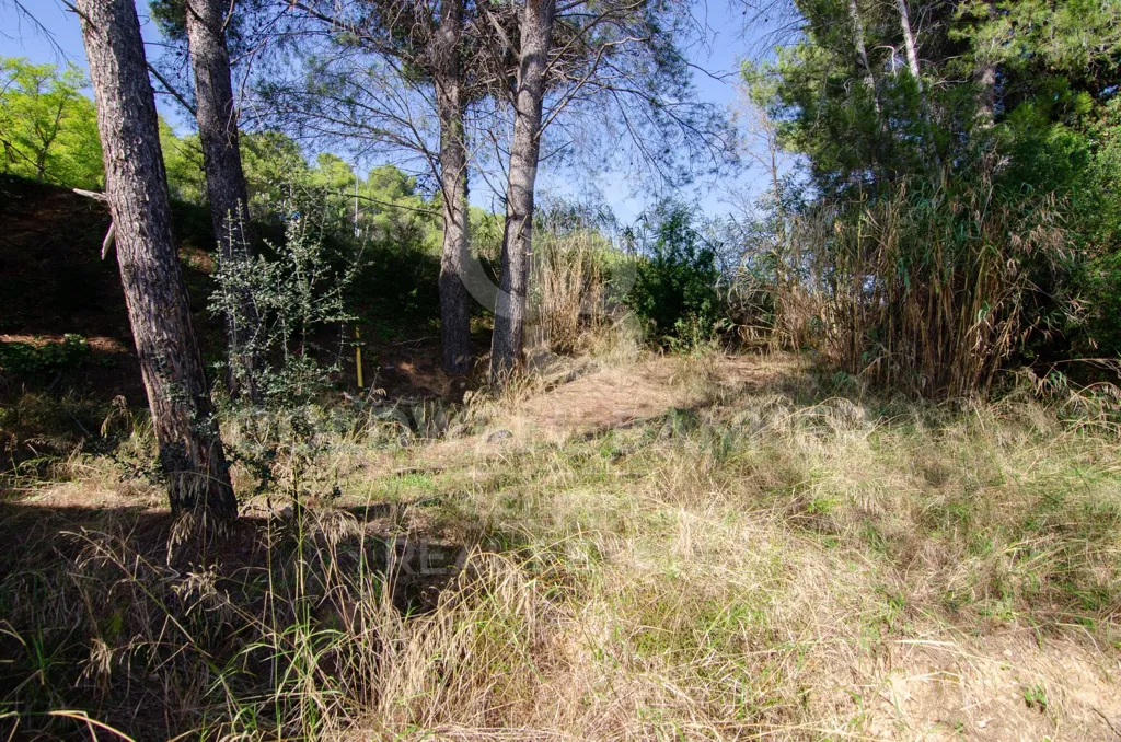 Jardin - Corner Plot with Villa Project in Bellaterra