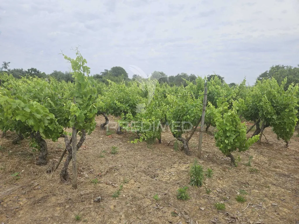 Giardino - Urban Plot with Construction Potential in Valdonas