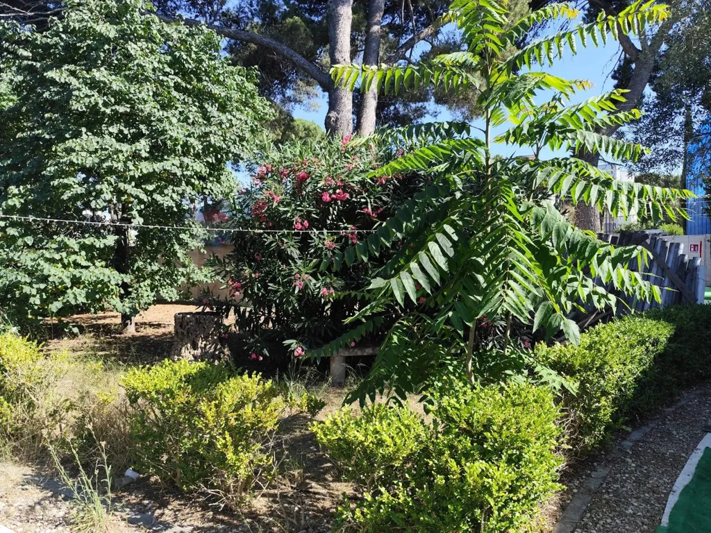 Jardin - Historic Villa with Garden in Bari Carrassi