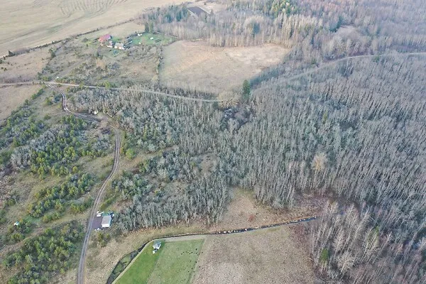 Vue aérienne - Terrain à Haljala vald
