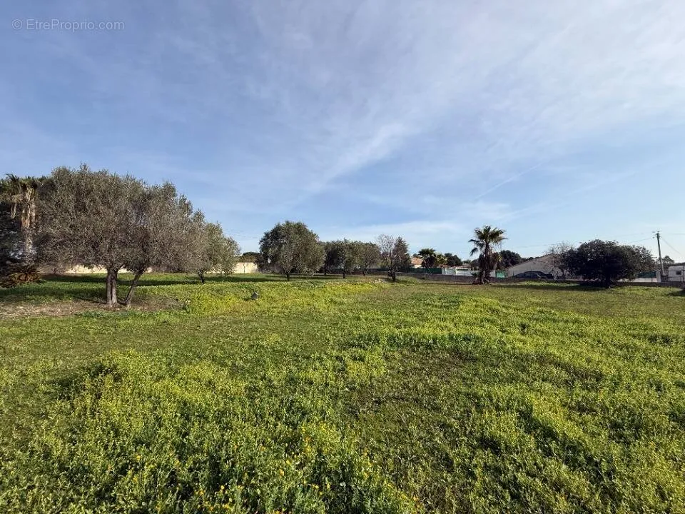 Aed - Buildable Plot with Garden in Roquebrune-Sur-Argens