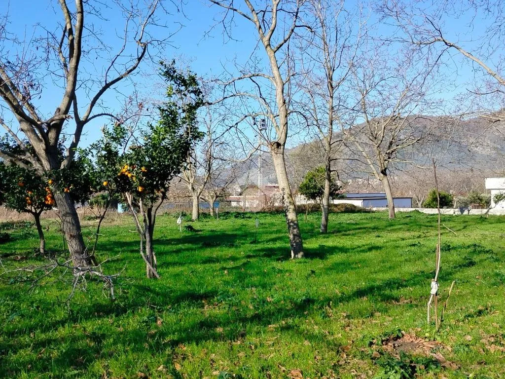 Jardin - Residential Plot in Arienzo, Caserta