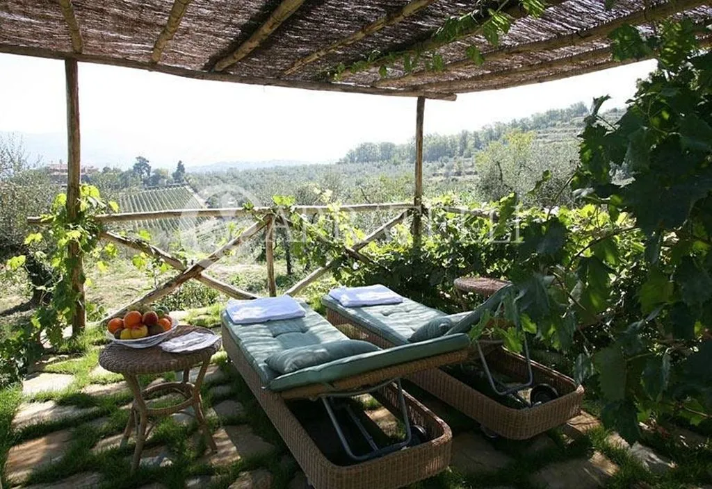 Terrass - Luxury Villa with Pool in Greve in Chianti