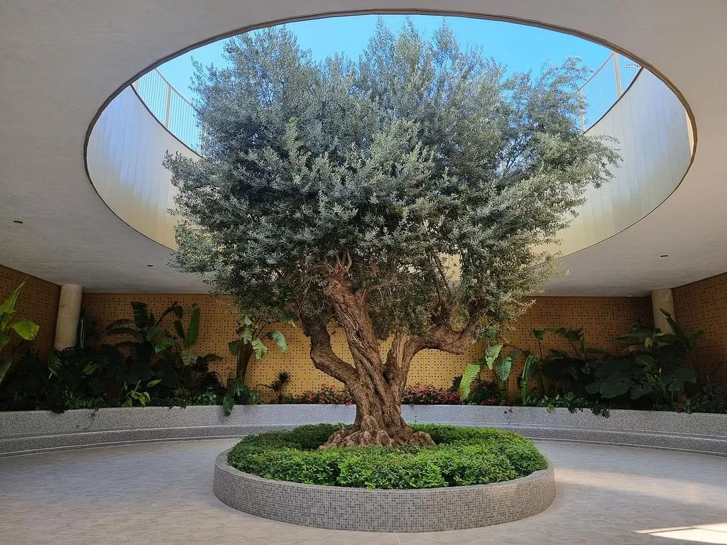garden