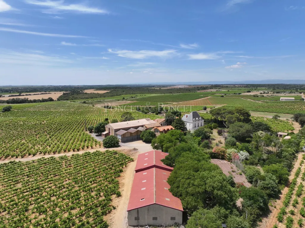 Õhuvaade - Vineyard Estate with Pool near Agde