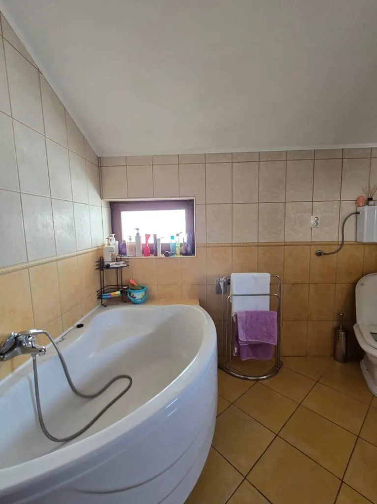 Bagni - Mixed-Use House with Terrace in Jarun, Zagreb