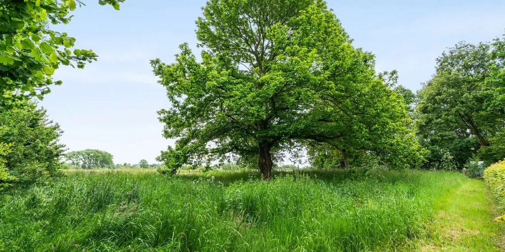 Jardin - Villa Architecturale avec Vue sur le Paysage à Meulebeke