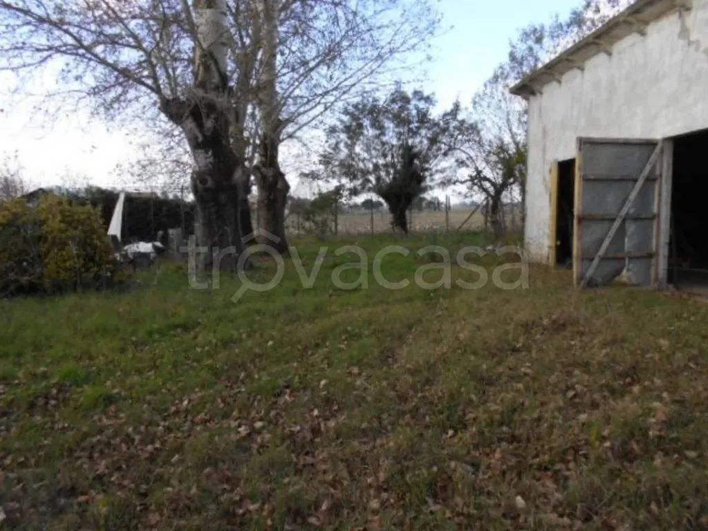 Välivaade - Independent Villa with Garden in Copparo