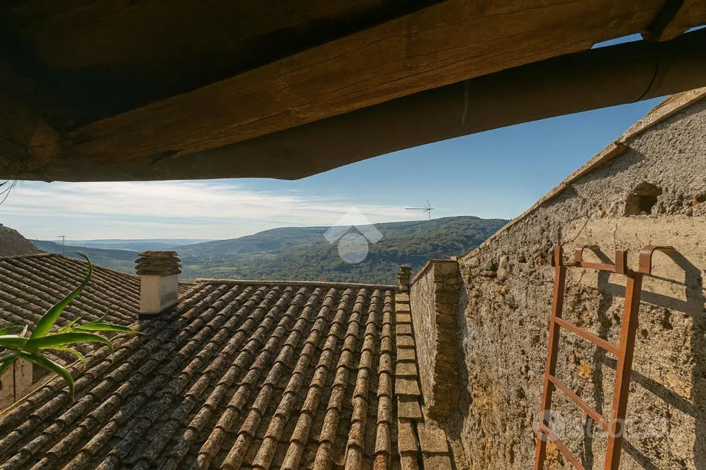 Terrass - Charming 5-Bedroom Apartment in Orte