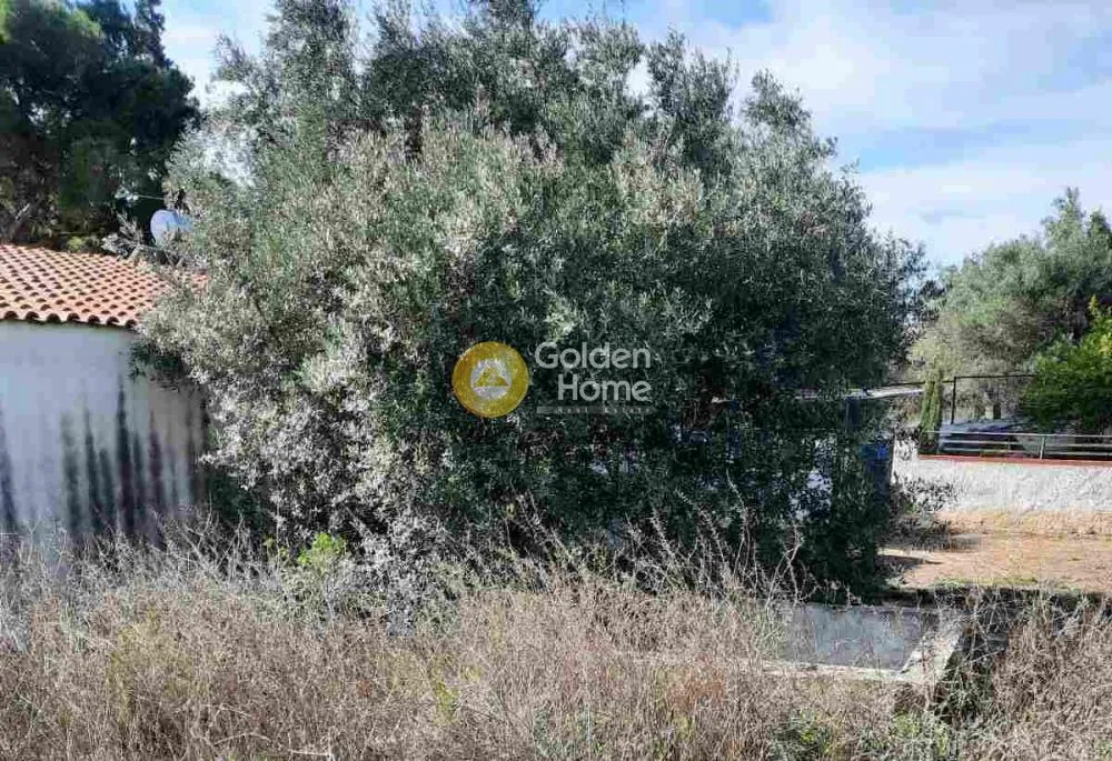 Aed - Buildable Plot with Unrestricted View in Nea Peramos