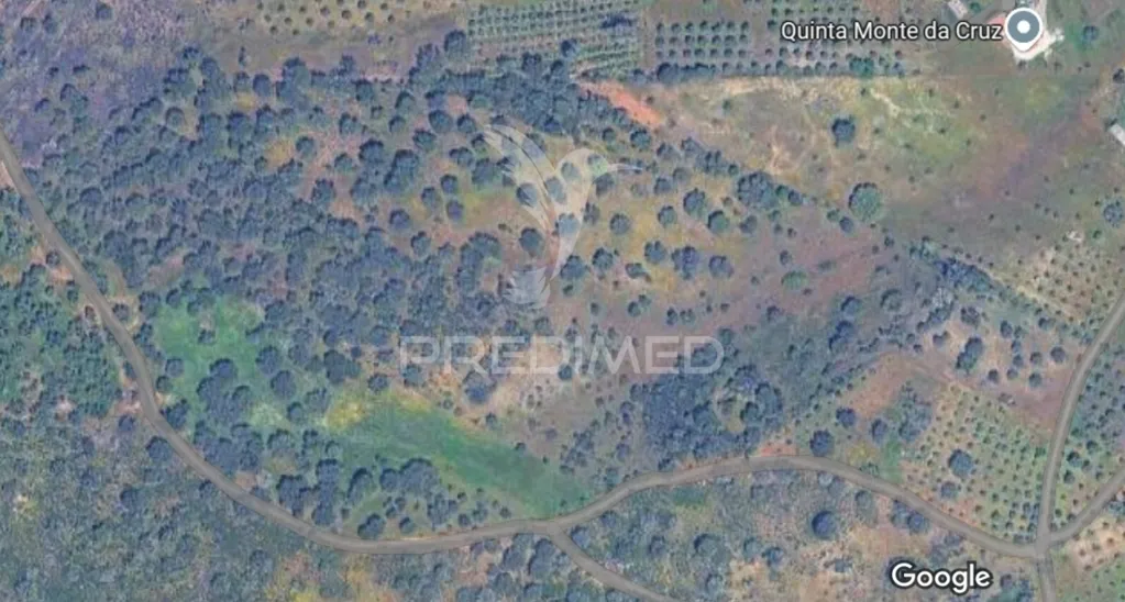 Õhuvaade - Rustic Land with Olive Trees in Alandroal