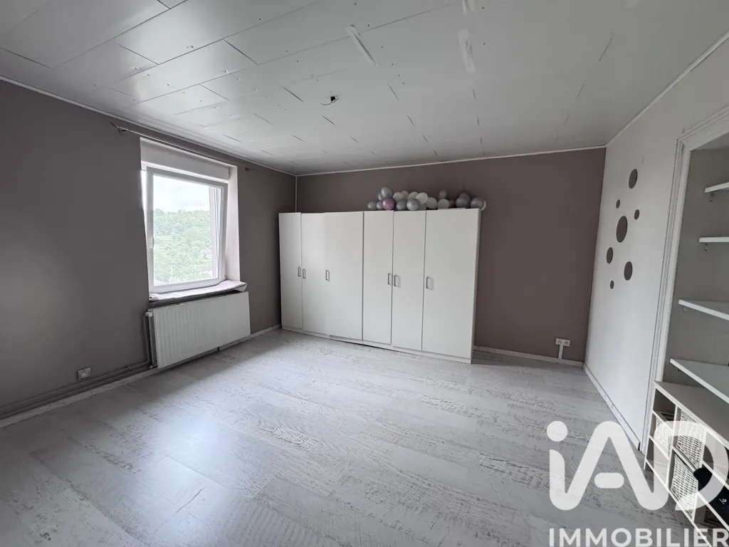 Toad - Villa with Workshop near German Border