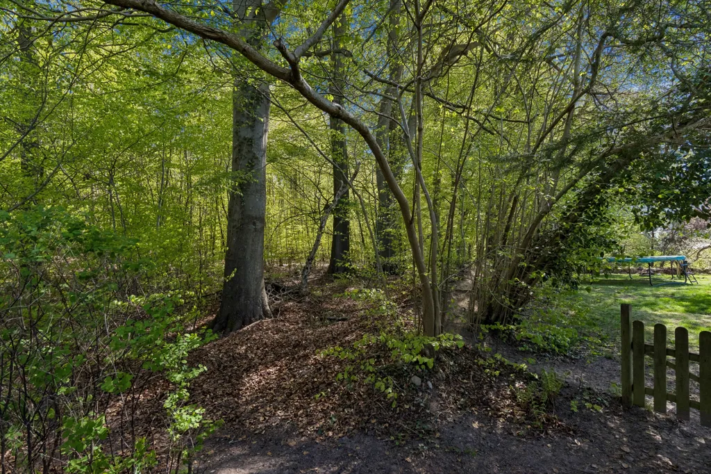 Jardin - Renovated Villa with Forest View in Birkerød