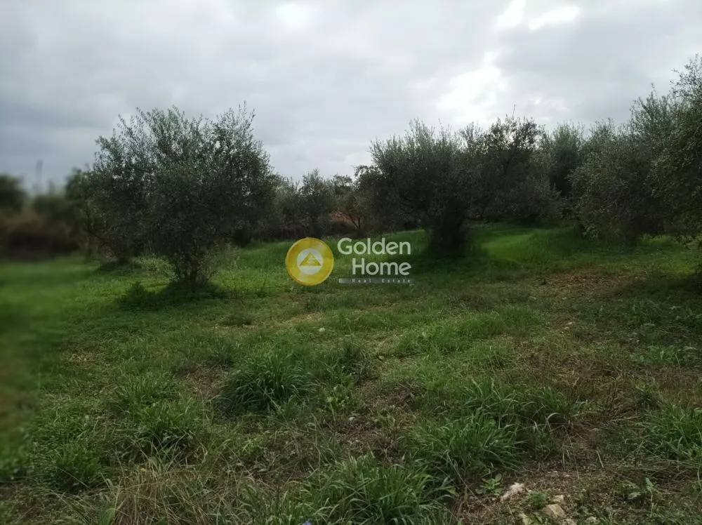 Aed - Buildable Plot with Sea View in Aprovouna, Chania