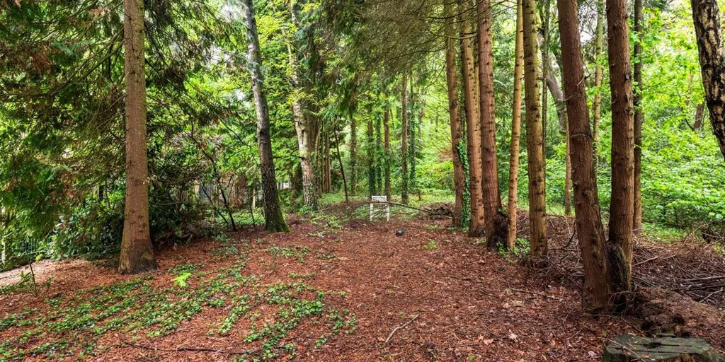 Jardin - Maison à Renover avec Jardin à Olmen